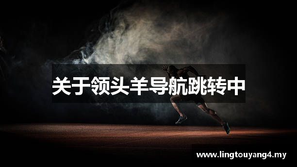 关于领头羊导航跳转中